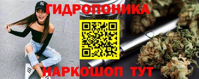 СК Дубна