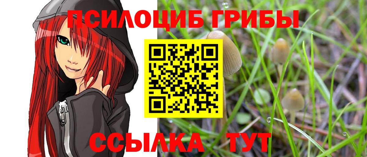 Галлюциногенные грибы мухоморы Вязники
