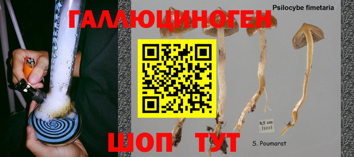Вязники  Галлюциногенные грибы прущие грибы  Галлюциногенные грибы GOLDEN TEACHER  Вход с VPN 